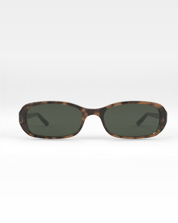 #Color_Code Tortoise